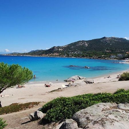 L'Orangeraie Calvi Centre A 300M De La Plage Et Du Port Parking Prive Luaran gambar
