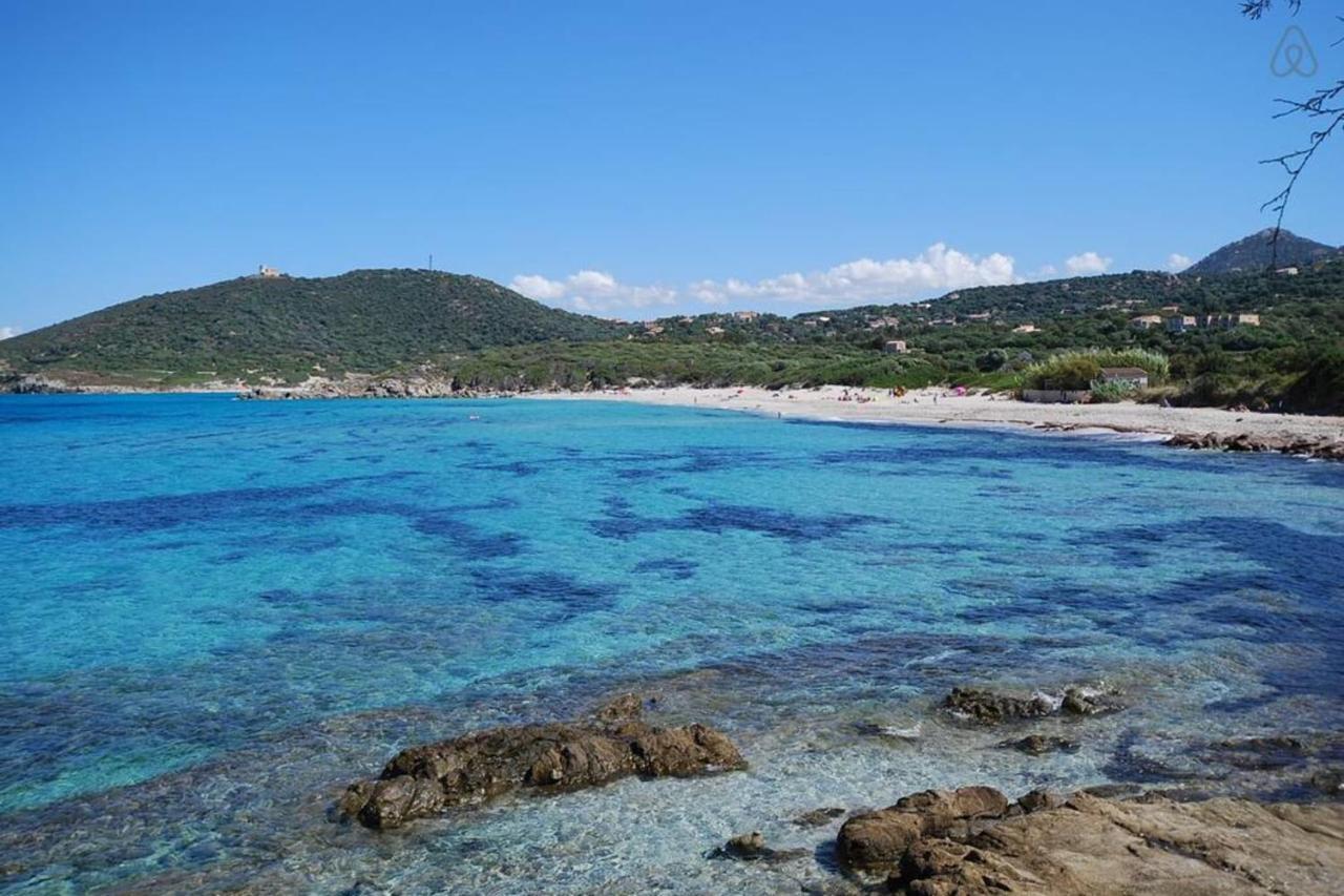 L'Orangeraie Calvi Centre A 300M De La Plage Et Du Port Parking Prive Luaran gambar