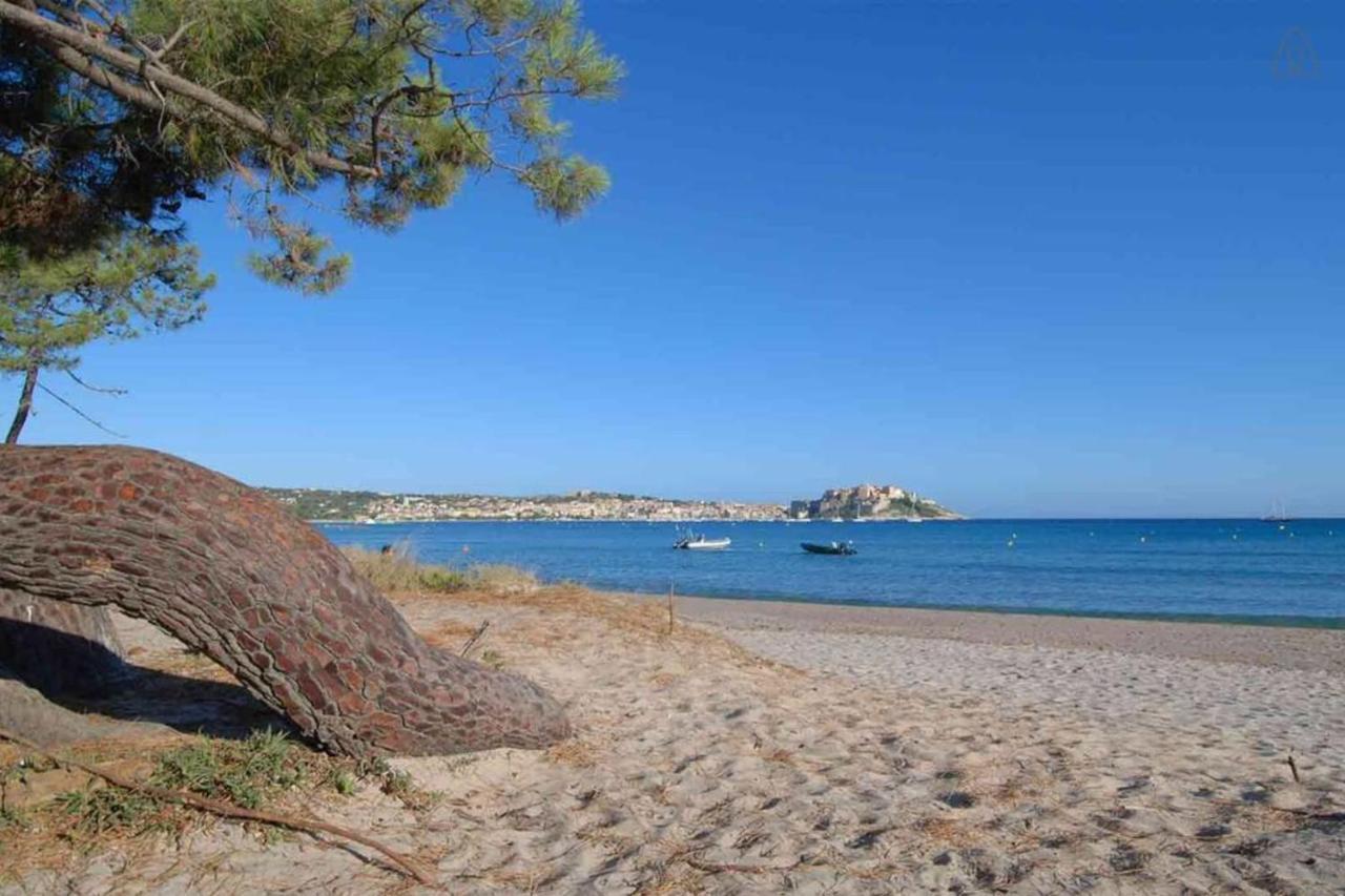 L'Orangeraie Calvi Centre A 300M De La Plage Et Du Port Parking Prive Luaran gambar