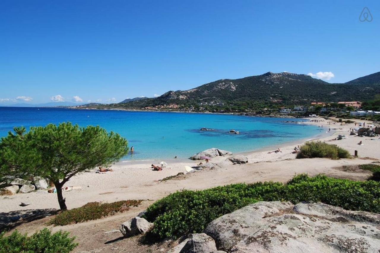 L'Orangeraie Calvi Centre A 300M De La Plage Et Du Port Parking Prive Luaran gambar